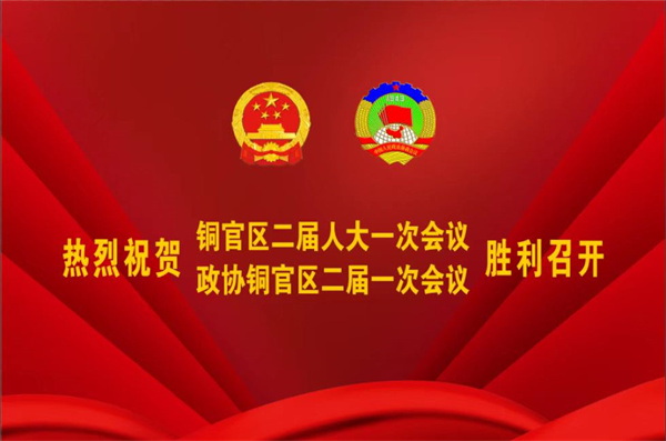 熱烈祝賀公司董事、副總經(jīng)理王從偉被選為 第二屆銅陵市銅官區(qū)政協(xié)常務委員